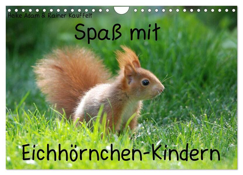 Spaß mit Eichhörnchen-Kindern (Wandkalender 2026 DIN A4 quer) CALVENDO Monatskalender
