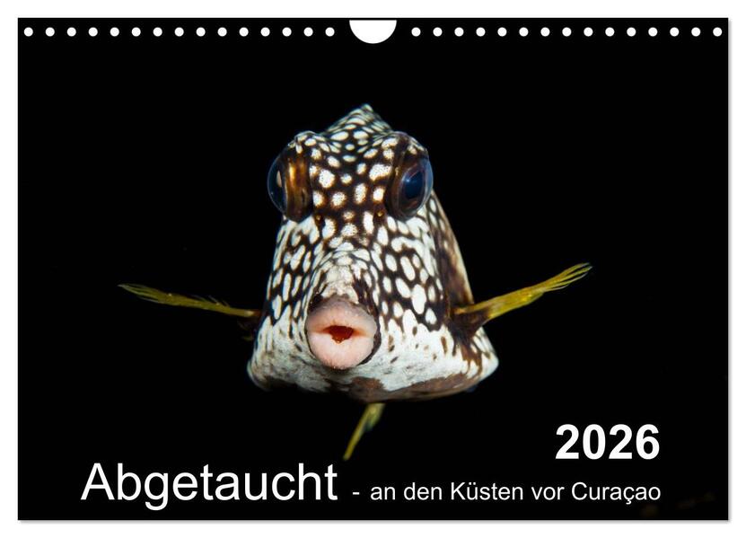 Abgetaucht - an den Küsten vor Curaçao (Wandkalender 2026 DIN A4 quer) CALVENDO Monatskalender