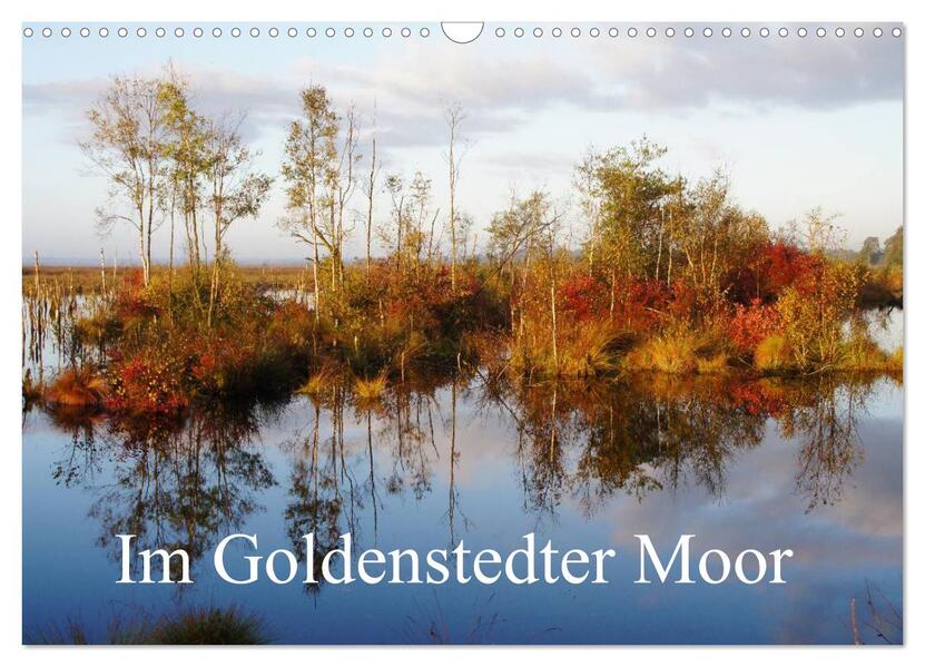 Im Goldenstedter Moor (Wandkalender 2026 DIN A3 quer) CALVENDO Monatskalender
