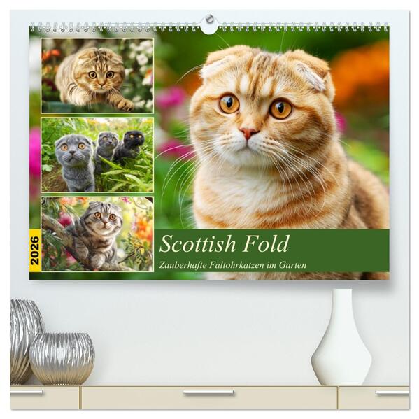 Scottish Fold. Zauberhafte Faltohrkatzen im Garten (hochwertiger Premium Wandkalender 2026 DIN A2 quer) Kunstdruck in Hochglanz