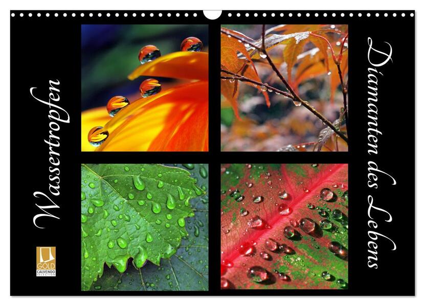 Wassertropfen - Diamanten des Lebens (Wandkalender 2026 DIN A3 quer) CALVENDO Monatskalender