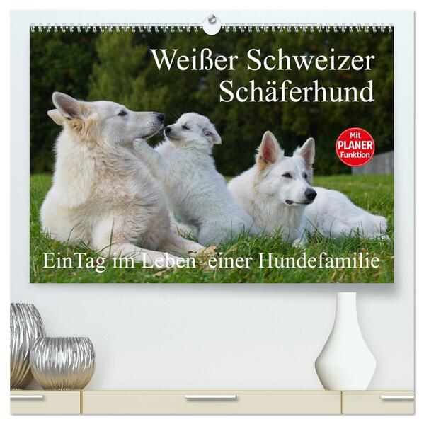 Weißer Schweizer Schäferhund - Ein Tag im Leben einer Hundefamilie (hochwertiger Premium Wandkalender 2026 DIN A2 quer) Kunstdruck in Hochglanz