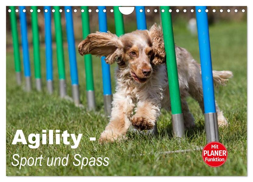 Agility - Sport und Spass (Wandkalender 2026 DIN A4 quer) CALVENDO Monatskalender
