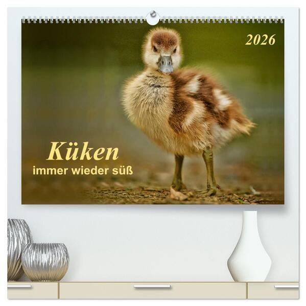 Küken - immer wieder süß (hochwertiger Premium Wandkalender 2026 DIN A2 quer) Kunstdruck in Hochglanz