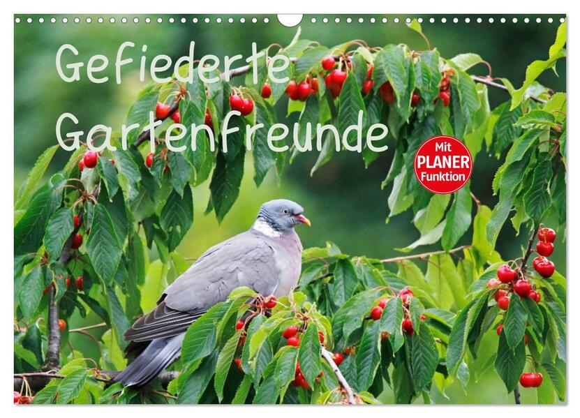 Gefiederte Gartenfreunde (Wandkalender 2026 DIN A3 quer) CALVENDO Monatskalender