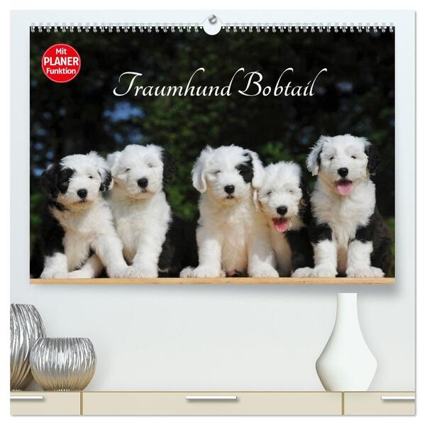 Traumhund Bobtail (hochwertiger Premium Wandkalender 2026 DIN A2 quer) Kunstdruck in Hochglanz