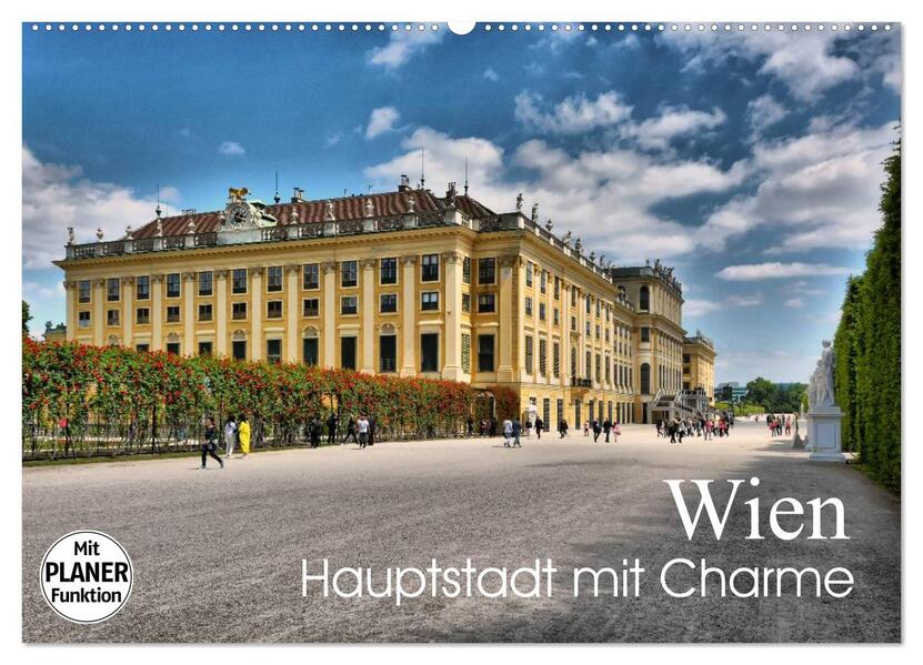Wien - Haupstadt mit Charme (Wandkalender 2026 DIN A2 quer) CALVENDO Monatskalender