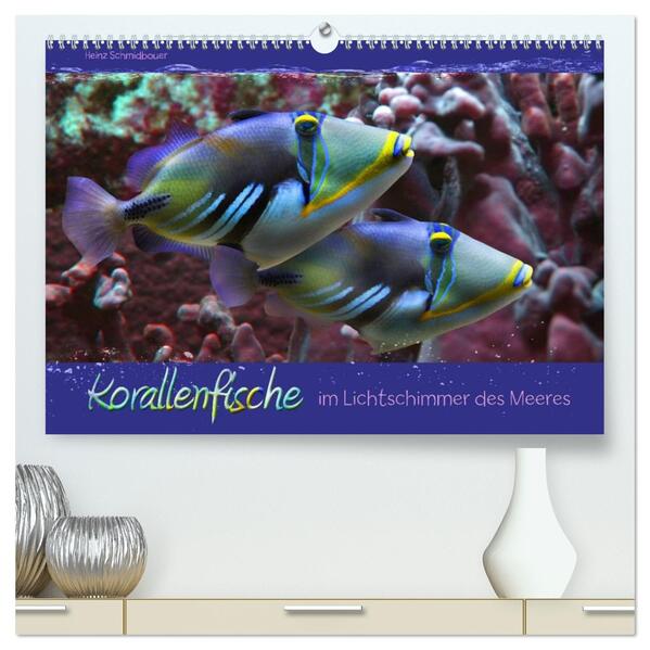 Korallenfische im Lichtschimmer des Meeres (hochwertiger Premium Wandkalender 2026 DIN A2 quer) Kunstdruck in Hochglanz