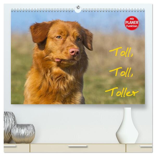 Toll toll Toller (hochwertiger Premium Wandkalender 2026 DIN A2 quer) Kunstdruck in Hochglanz
