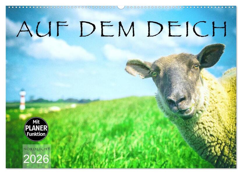 AUF DEM DEICH (Wandkalender 2026 DIN A2 quer) CALVENDO Monatskalender