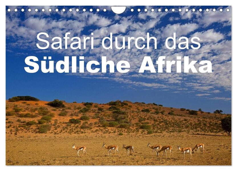 Safari durch das Südliche Afrika (Wandkalender 2026 DIN A4 quer) CALVENDO Monatskalender