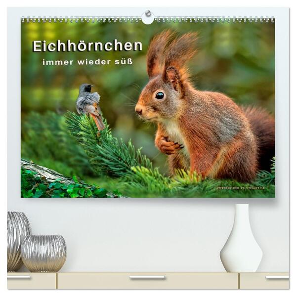 Eichhörnchen - immer wieder süß (hochwertiger Premium Wandkalender 2026 DIN A2 quer) Kunstdruck in Hochglanz