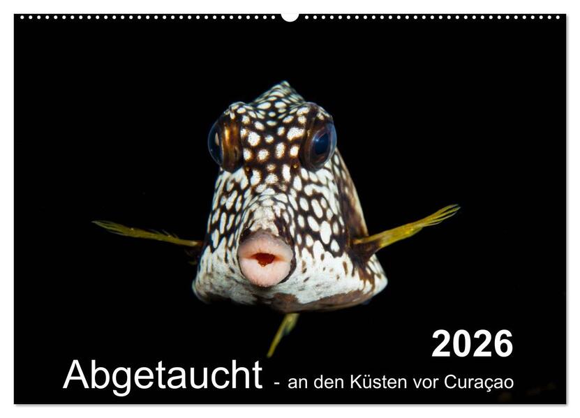 Abgetaucht - an den Küsten vor Curaçao (Wandkalender 2026 DIN A2 quer) CALVENDO Monatskalender