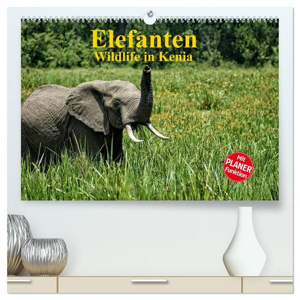 Elefanten . Wildlife in Kenia (hochwertiger Premium Wandkalender 2026 DIN A2 quer) Kunstdruck in Hochglanz