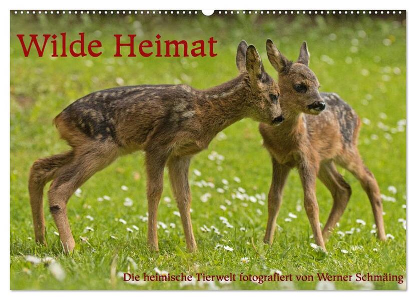 Wilde Heimat (Wandkalender 2026 DIN A2 quer) CALVENDO Monatskalender