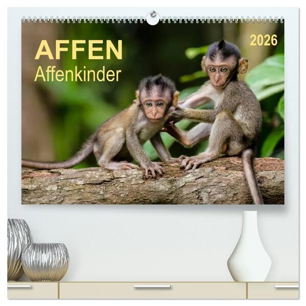 Affen - Affenkinder (hochwertiger Premium Wandkalender 2026 DIN A2 quer) Kunstdruck in Hochglanz