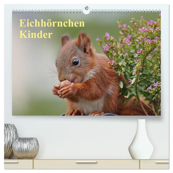 Eichhörnchen Kinder (hochwertiger Premium Wandkalender 2026 DIN A2 quer) Kunstdruck in Hochglanz
