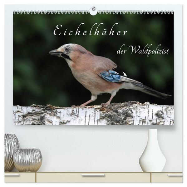 Eichelhäher der Waldpolizist (hochwertiger Premium Wandkalender 2026 DIN A2 quer) Kunstdruck in Hochglanz