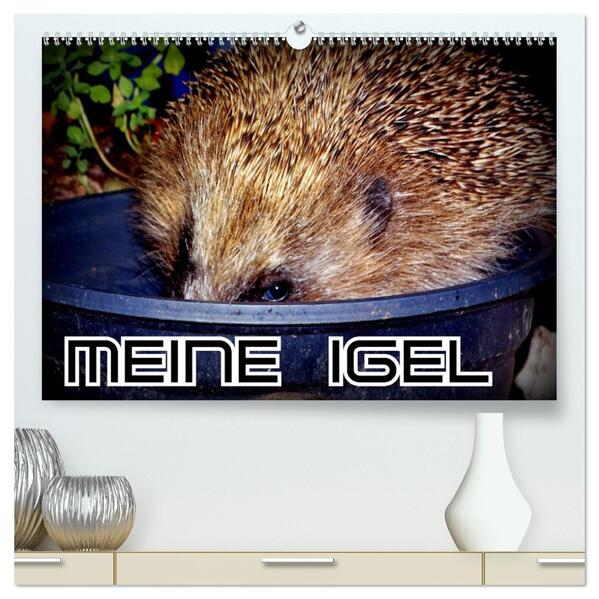 Meine Igel (hochwertiger Premium Wandkalender 2026 DIN A2 quer) Kunstdruck in Hochglanz