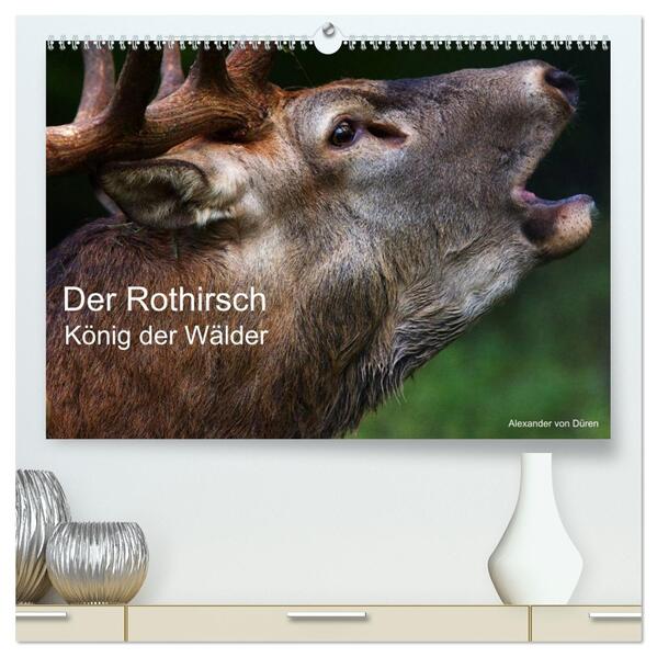 Der Rothirsch König der Wälder (hochwertiger Premium Wandkalender 2026 DIN A2 quer) Kunstdruck in Hochglanz
