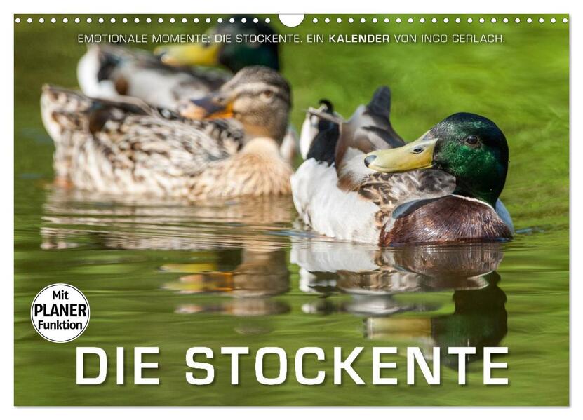 Emotionale Momente: Die Stockente. (Wandkalender 2026 DIN A3 quer) CALVENDO Monatskalender