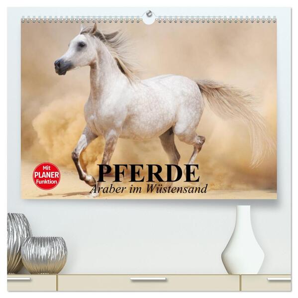Pferde. Araber im Wüstensand (hochwertiger Premium Wandkalender 2026 DIN A2 quer) Kunstdruck in Hochglanz