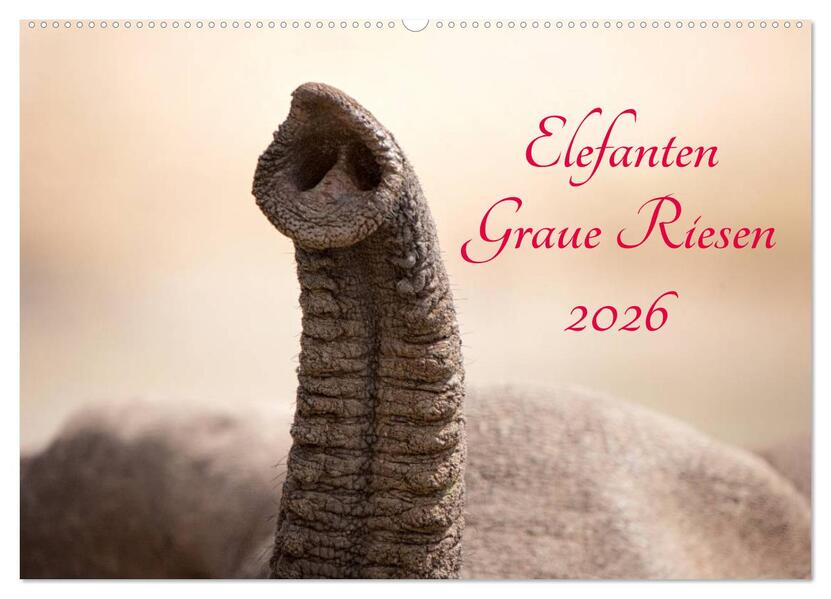 Elefanten - Graue Riesen (Wandkalender 2026 DIN A2 quer) CALVENDO Monatskalender