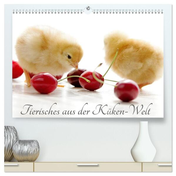 Tierisches aus der Küken-Welt (hochwertiger Premium Wandkalender 2026 DIN A2 quer) Kunstdruck in Hochglanz