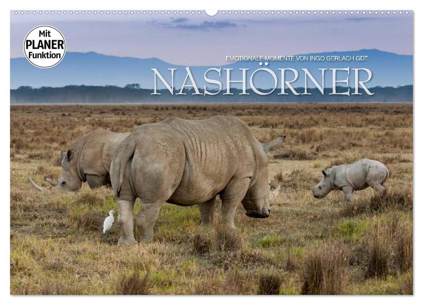 Emotionale Momente: Nashörner (Wandkalender 2026 DIN A2 quer) CALVENDO Monatskalender
