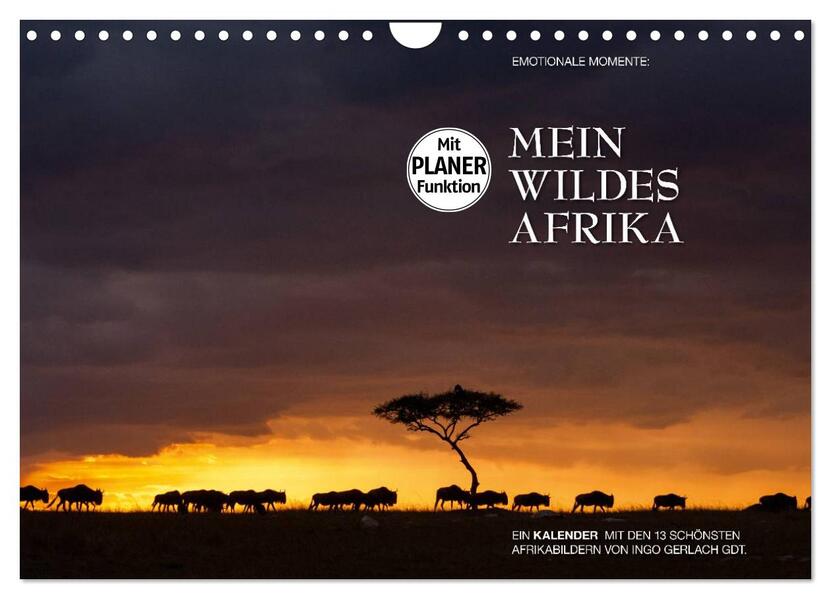 Emotionale Momente: Mein wildes Afrika (Wandkalender 2026 DIN A4 quer) CALVENDO Monatskalender