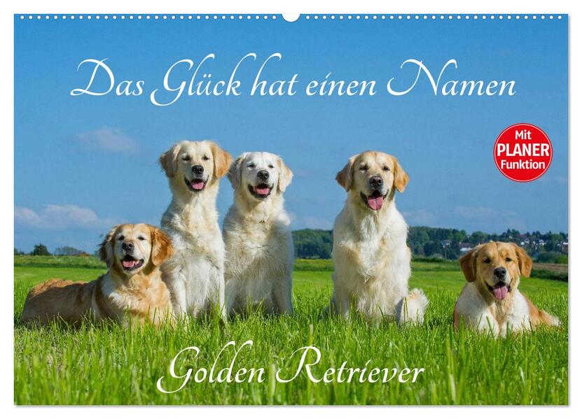 Das Glück hat einen Namen - Golden Retriever (Wandkalender 2026 DIN A2 quer) CALVENDO Monatskalender