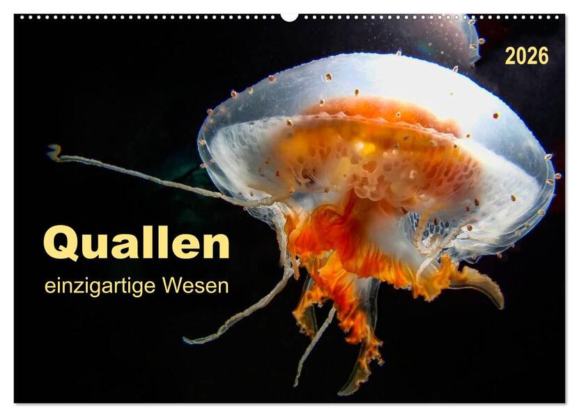 Quallen - einzigartige Wesen (Wandkalender 2026 DIN A2 quer) CALVENDO Monatskalender