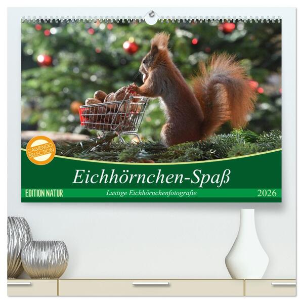 Eichhörnchen-Spaß (hochwertiger Premium Wandkalender 2026 DIN A2 quer) Kunstdruck in Hochglanz