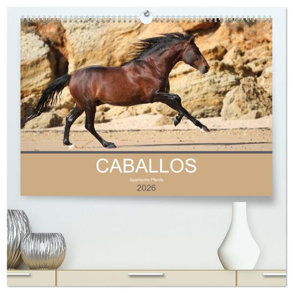 Caballos Spanische Pferde 2026 (hochwertiger Premium Wandkalender 2026 DIN A2 quer) Kunstdruck in Hochglanz