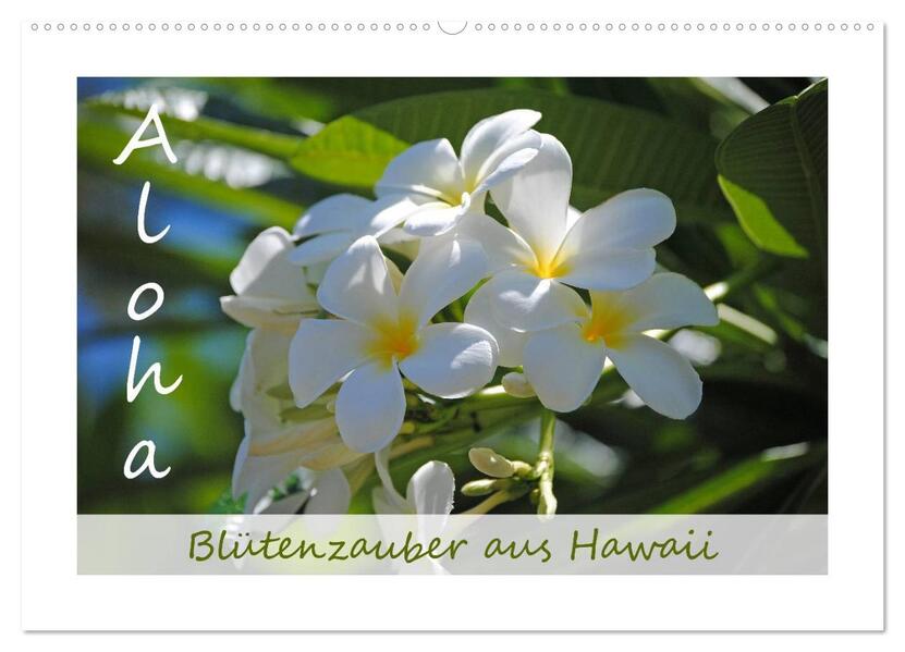 Aloha Blütenzauber aus Hawaii (Wandkalender 2026 DIN A2 quer) CALVENDO Monatskalender