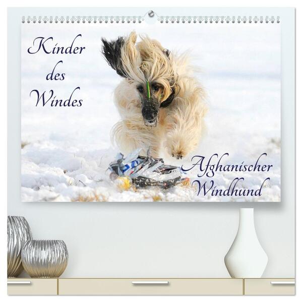 Kinder des Windes - Afghanischer Windhund (hochwertiger Premium Wandkalender 2026 DIN A2 quer) Kunstdruck in Hochglanz