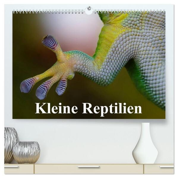 Kleine Reptilien (hochwertiger Premium Wandkalender 2026 DIN A2 quer) Kunstdruck in Hochglanz