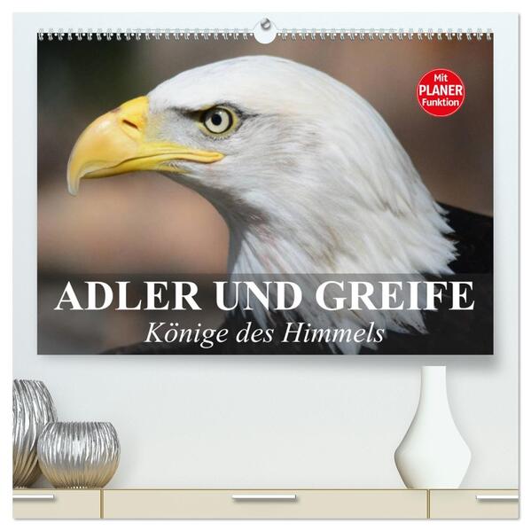 Adler und Greife. Könige des Himmels (hochwertiger Premium Wandkalender 2026 DIN A2 quer) Kunstdruck in Hochglanz