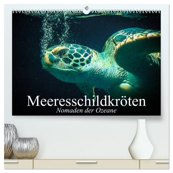 Meeresschildkröten. Nomaden der Ozeane (hochwertiger Premium Wandkalender 2026 DIN A2 quer) Kunstdruck in Hochglanz