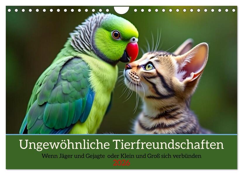 Ungewöhnliche Tierfreundschaften (Wandkalender 2026 DIN A4 quer) CALVENDO Monatskalender