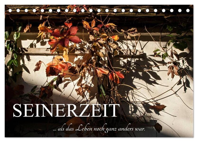 Seinerzeit (Tischkalender 2026 DIN A5 quer) CALVENDO Monatskalender