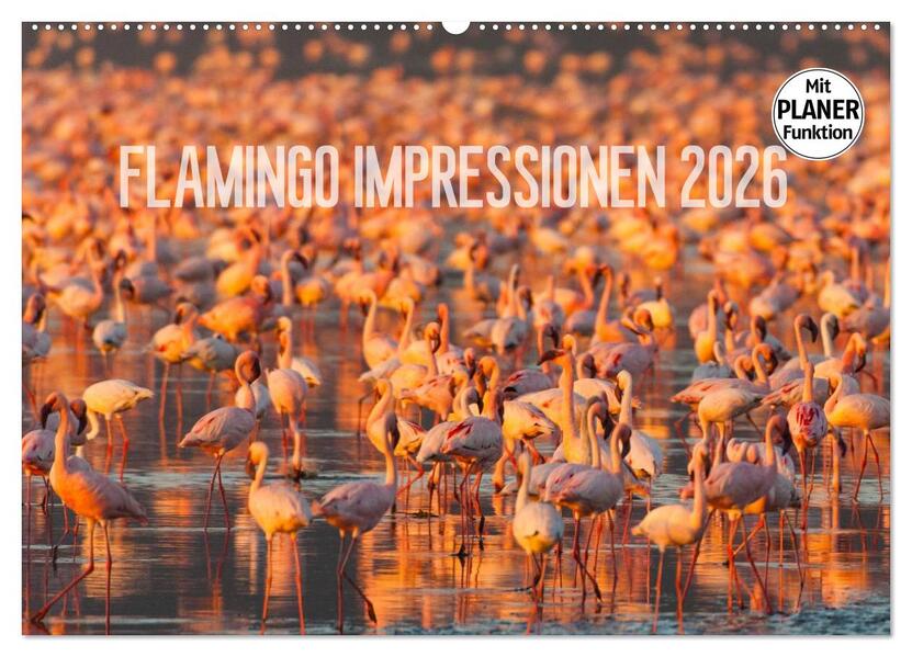Flamingo Impressionen 2026 (Wandkalender 2026 DIN A2 quer) CALVENDO Monatskalender