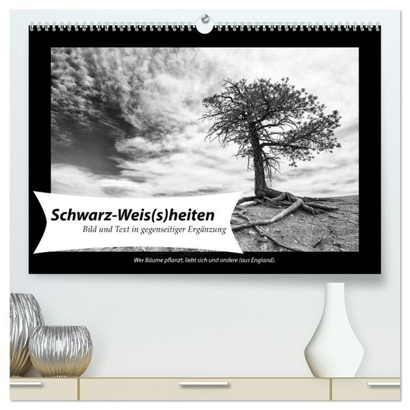 Schwarz-Weis(s)heiten (hochwertiger Premium Wandkalender 2026 DIN A2 quer) Kunstdruck in Hochglanz