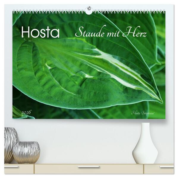 Hosta Staude mit Herz (hochwertiger Premium Wandkalender 2026 DIN A2 quer) Kunstdruck in Hochglanz