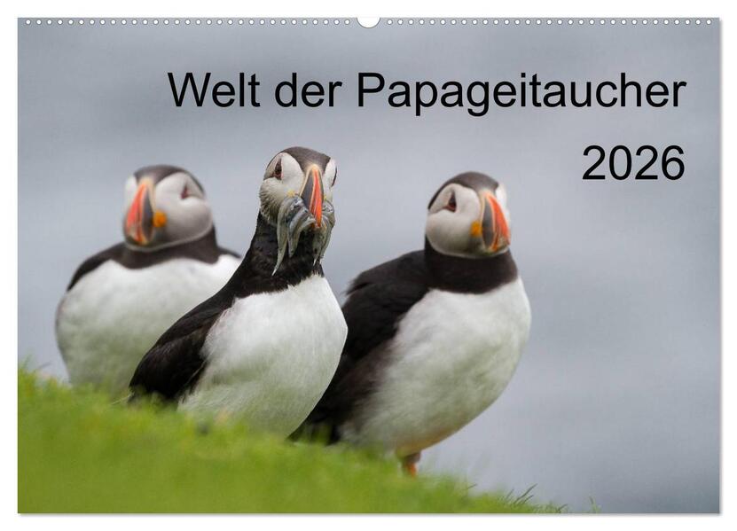 Welt der Papageitaucher (Wandkalender 2026 DIN A2 quer) CALVENDO Monatskalender