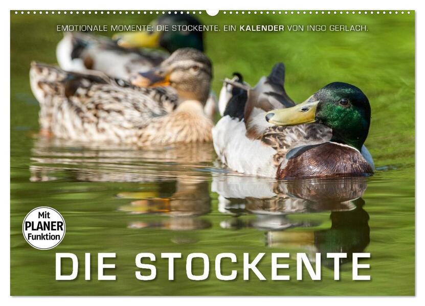 Emotionale Momente: Die Stockente. (Wandkalender 2026 DIN A2 quer) CALVENDO Monatskalender