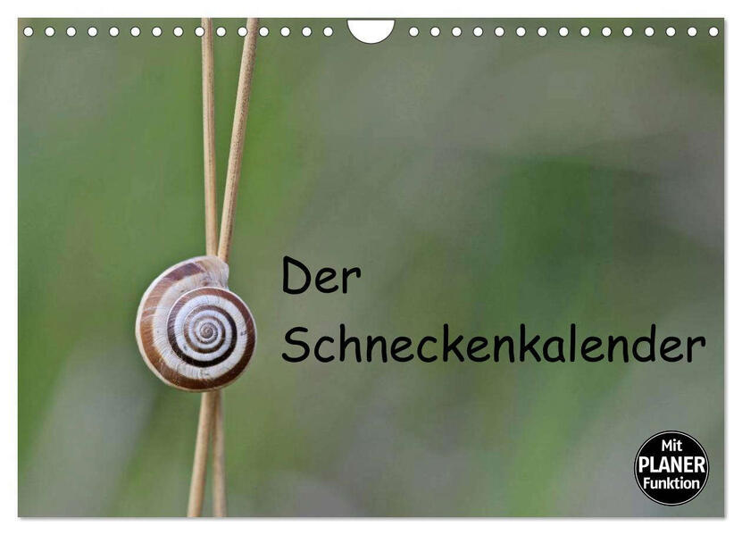 Der Schneckenkalender (Wandkalender 2026 DIN A4 quer) CALVENDO Monatskalender