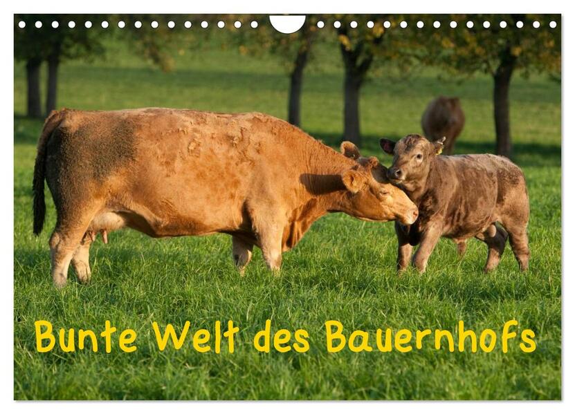 Bunte Welt des Bauernhofs (Wandkalender 2026 DIN A4 quer) CALVENDO Monatskalender