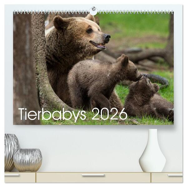 Tierbabys 2026 (hochwertiger Premium Wandkalender 2026 DIN A2 quer) Kunstdruck in Hochglanz