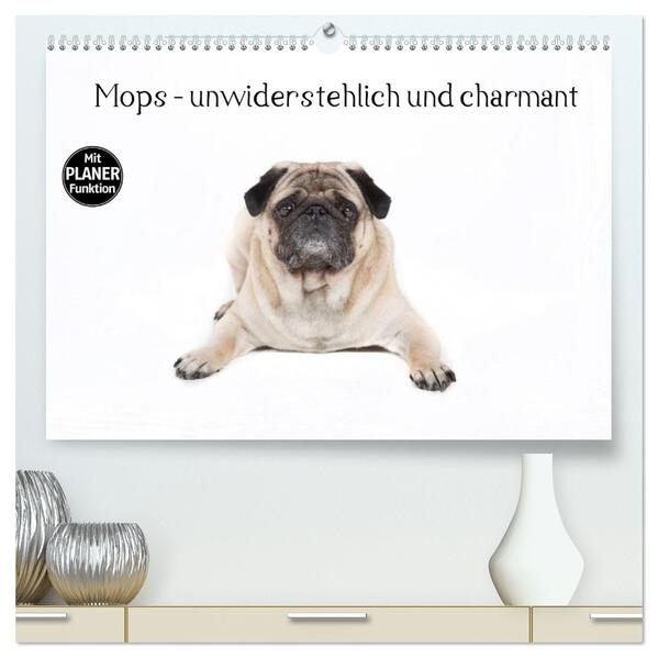 Mops - unwiderstehlich und charmant (hochwertiger Premium Wandkalender 2026 DIN A2 quer) Kunstdruck in Hochglanz